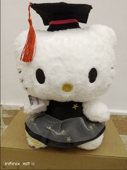 Graduation Hello Kitty Plush Toy – White Sanrio Stuffed Character in Black Cap and Gown