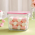 Airtight Glass Storage Container with Lid